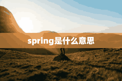 spring是什么意思